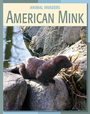 American Mink de Susan H. Gray