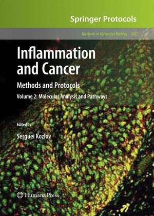 Inflammation and Cancer: Methods and Protocols: Volume 2, Molecular Analysis and Pathways de Serguei V. Kozlov