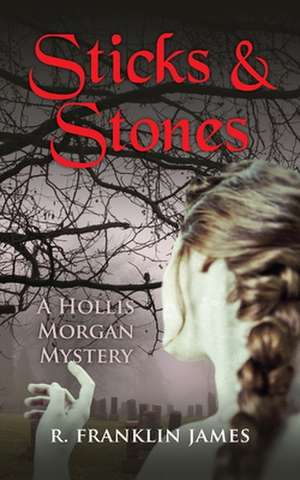 Sticks & Stones de R. Franklin James