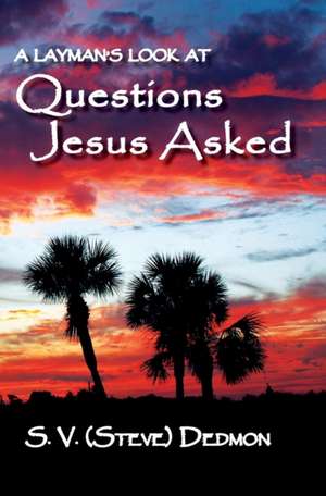 Questions Jesus Asked de S. V. (Steve) Dedmon