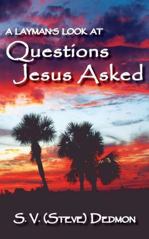 A Layman's Look at Questions Jesus Asked de Stephen V. Dedmon