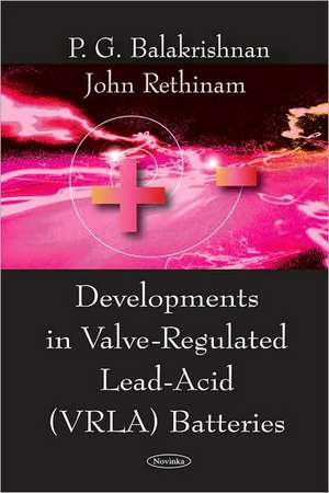 Developments in Valve-Regulated Lead-Acid (VRLA) Batteries de P. G. Balakrishnan