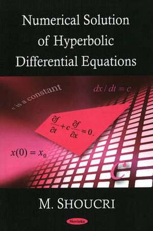 Numerical Solution of Hyperbolic Differential Equations de M. Shoucri