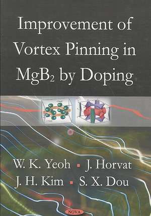 Improvement of Vortex Pinning in MgB2 by Doping de W.K. Yeoh