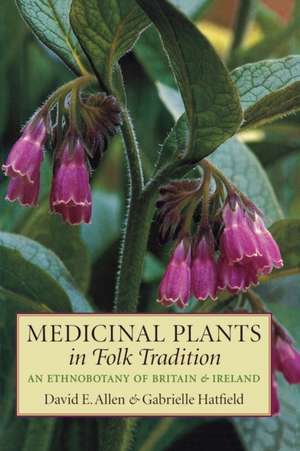 Medicinal Plants in Folk Tradition de David E. Allen