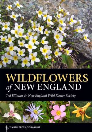 Wildflowers of New England de Ted Elliman