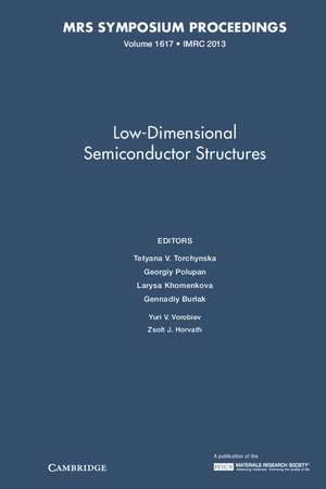 Low-Dimensional Semiconductor Structures: Volume 1617 de Tetyana V. Torchynska