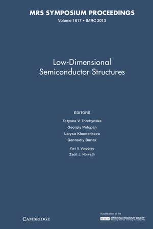 Low-Dimensional Semiconductor Structures de Tetyana V. Torchynska