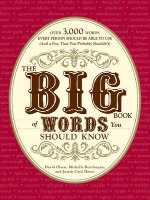 The Big Book of Words You Should Know: Over 3,000 Words Every Person Should be Able to Use (And a few that you probably shouldn't) de David Olsen