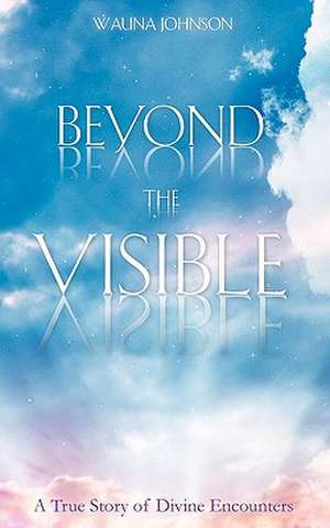 Beyond the Visible de Wauna Johnson