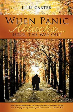 When Panic Attacks ... de Lilli Carter