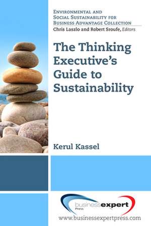 Applying Systems Thinking to Understanding Sustainable Business de Kerul Kassel