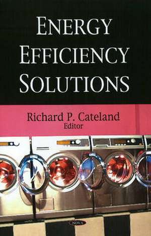 Energy Efficiency Solutions de Richard P. Cateland