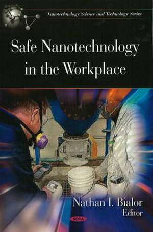 Safe Nanotechnology in the Workplace de Nathan I. Bialor