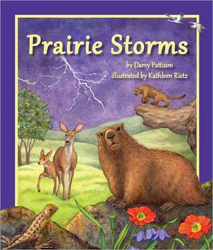 Prairie Storms de Darcy Pattison