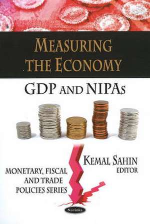 Measuring the Economy de Kemal Sahin