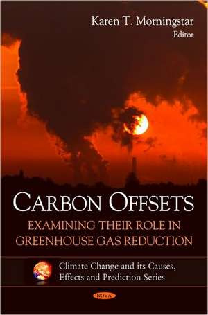 Carbon Offsets de Karen T. Morningstar