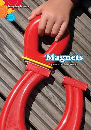 Magnets de Karen Latchana Kenney