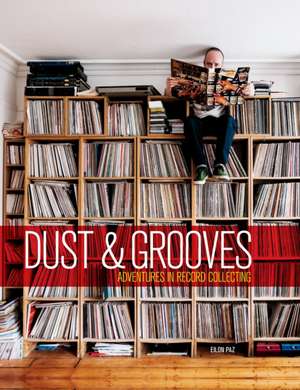 Dust & Grooves de Eilon Paz