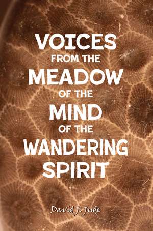 Voices From the Meadow of the Mind of the Wandering Spirit de David Jude