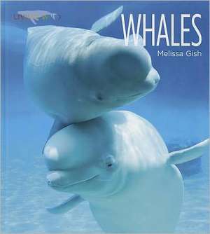 Whales de Melissa Gish