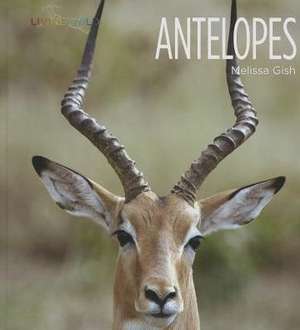 Antelopes de Melissa Gish