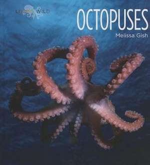 Octopuses de Melissa Gish