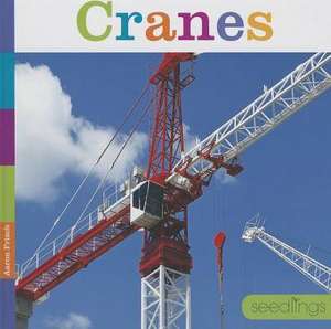 Cranes de Aaron Frisch