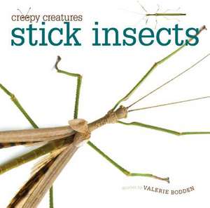 Stick Insects de Valerie Bodden