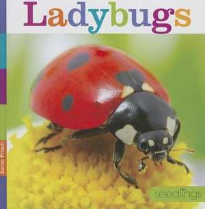 Ladybugs de Aaron Frisch