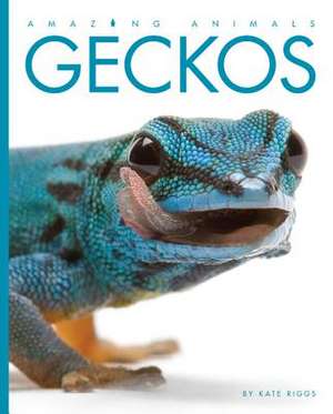 Amazing Animals Geckos de Kate Riggs