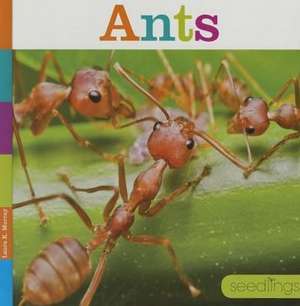 Ants de Laura K. Murray