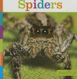 Spiders de Laura K. Murray