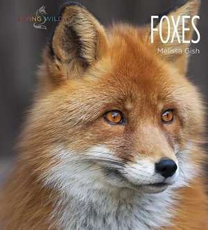 Foxes de Melissa Gish