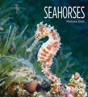 Seahorses de Melissa Gish