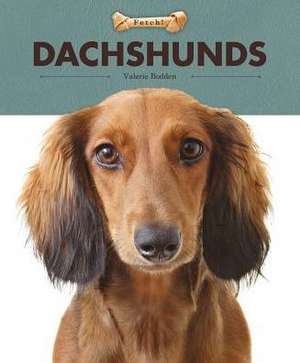 Dachshunds de Valerie Bodden