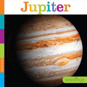 Jupiter de Quinn M Arnold