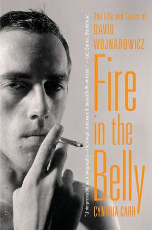 Fire in the Belly: The Life and Times of David Wojnarowicz de Cynthia Carr