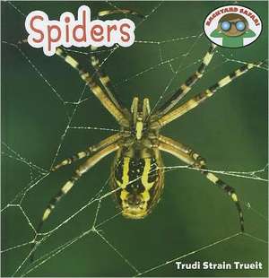 Spiders de Trudi Strain Trueit