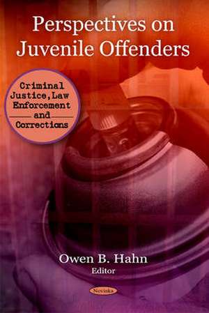 Perspectives on Juvenile Offenders de Owen B. Hahn