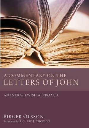 A Commentary on the Letters of John de Birger Olsson