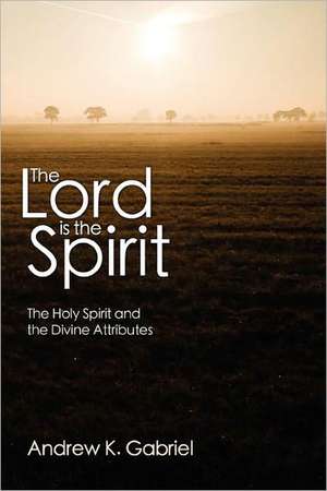 The Lord Is the Spirit: The Holy Spirit and the Divine Attributes de Andrew K. Gabriel