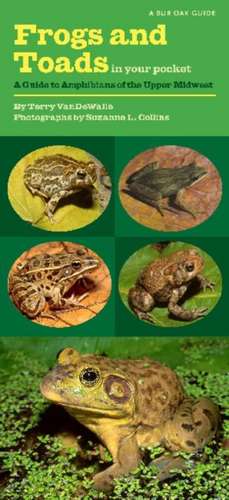 Frogs and Toads in Your Pocket: A Guide to Amphibians of the Upper Midwest de Terry VanDeWalle