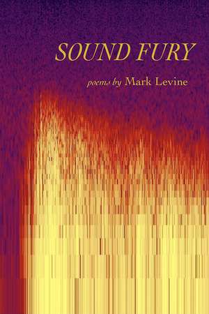 Sound Fury: Poems de Mark Levine