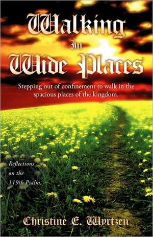 Walking in Wide Places de Christine E. Wyrtzen