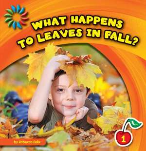 What Happens to Leaves in Fall? de Rebecca Felix