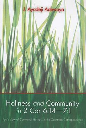 Holiness and Community in 2 Cor 6: Paul's View of Communal Holiness in the Corinthian Correspondence de J. Ayodeji Adewuya