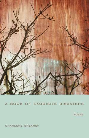 A Book of Exquisite Disasters de Charlene Monahan Spearen