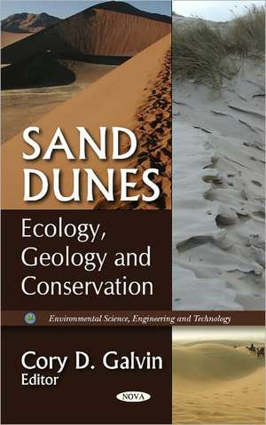 Sand Dunes de Cory D. Galvin