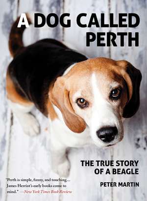 A Dog Called Perth: The True Story of a Beagle de Peter Martin